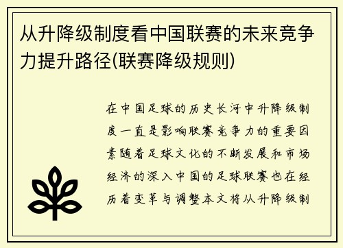 从升降级制度看中国联赛的未来竞争力提升路径(联赛降级规则)
