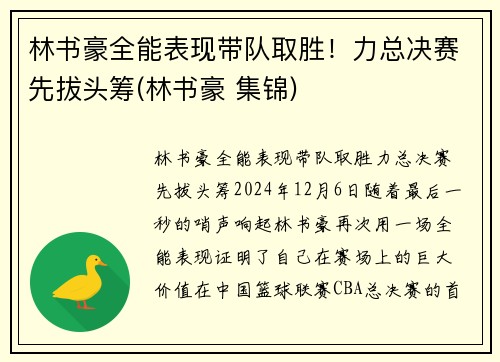 林书豪全能表现带队取胜！力总决赛先拔头筹(林书豪 集锦)
