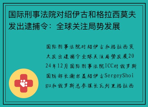 国际刑事法院对绍伊古和格拉西莫夫发出逮捕令：全球关注局势发展
