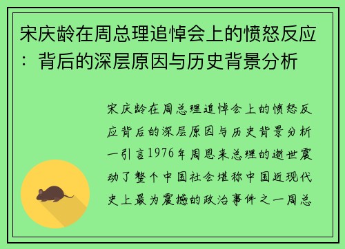 宋庆龄在周总理追悼会上的愤怒反应：背后的深层原因与历史背景分析