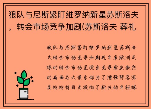 狼队与尼斯紧盯维罗纳新星苏斯洛夫，转会市场竞争加剧(苏斯洛夫 葬礼)